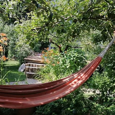 Apartma Zeus Apartman